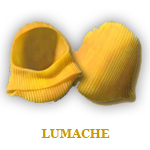 Lumache